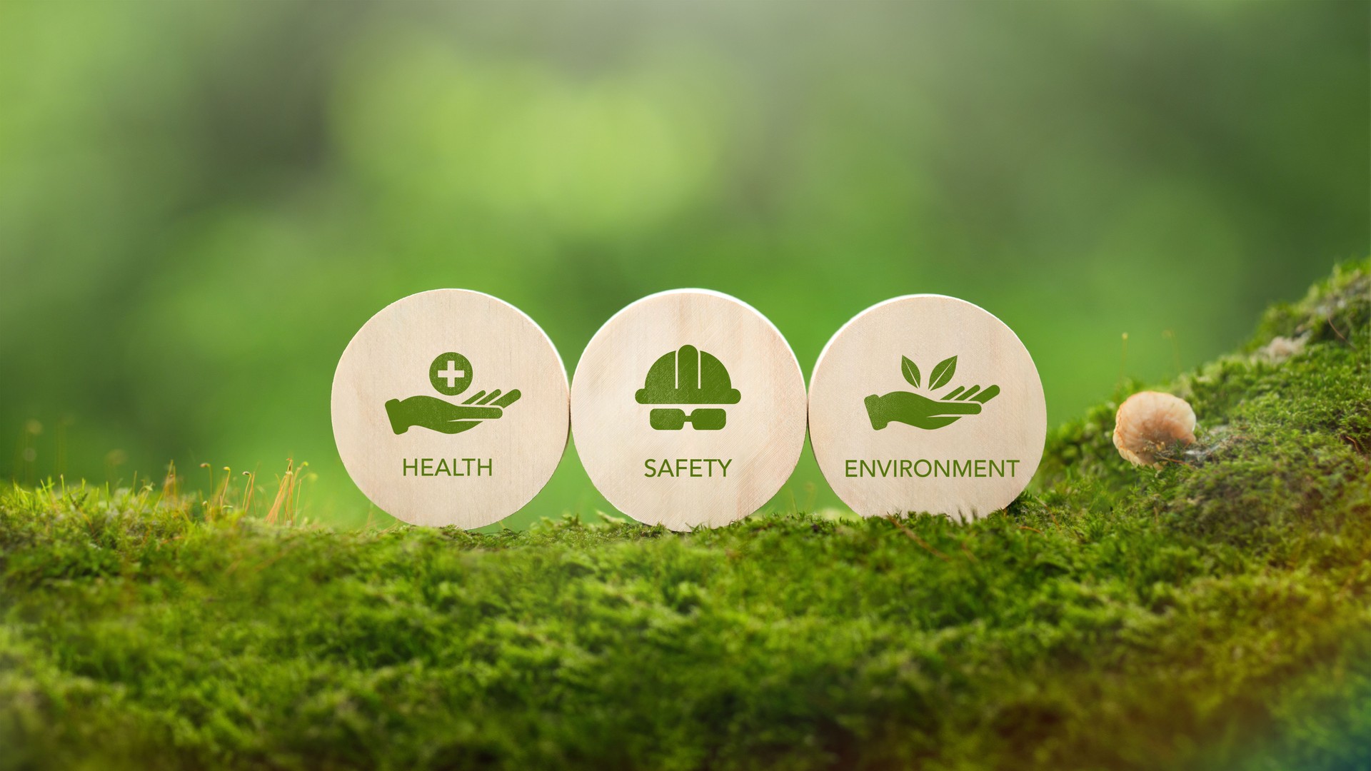 HSE Health, Safety, Environment Concepts that focus on accident prevention, environmental protection, health and safety for businesses and organizations.